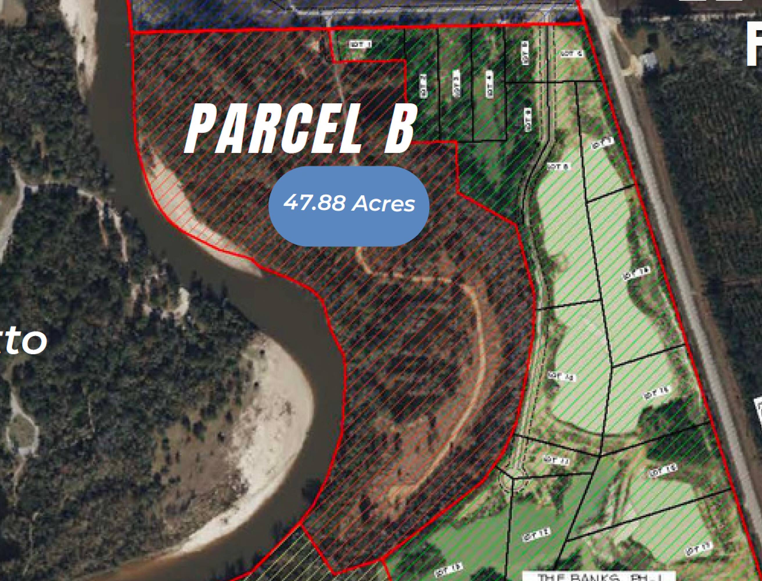 Land for Sale in Franklinton Louisiana 70438